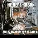 Qwerty12zxjd