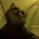emelazaaa
