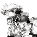 nils_mv
