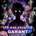 karmann1k