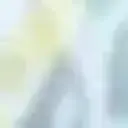 rimercrimer