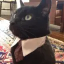r3cvear