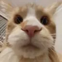 Subudy
