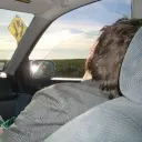 raw