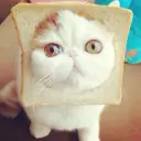 КрутойПерец