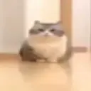 отработчик