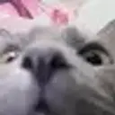 Ryuu