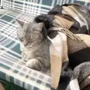 alex_7703