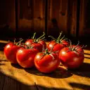Sixtomatoes