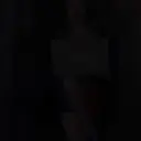 Assp_Monax