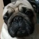id711141058