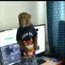 onezubovv