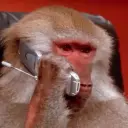 Barabulkun88
