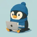 hollafiz
