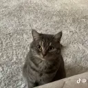 GiorgioArmani