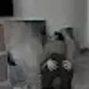 fforcce