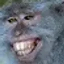 Piposka