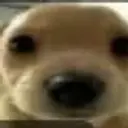 discordonly