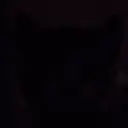 WhatACat