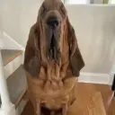 lololowkaok