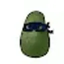 avocado1231