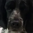 peKKFER