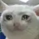 TREEFEN