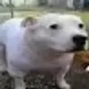 Мараторатор