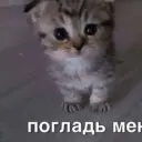 kirushv