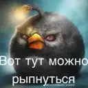 dava_skuf