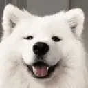 atxxx
