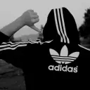 MeffQuer