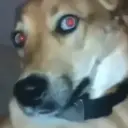 ammpepempem