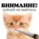 oibaba