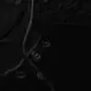 E_S