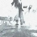 samyk0n