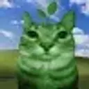 Egorkolo