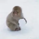 coolcool99