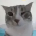 currqw