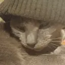 OLEGator