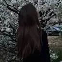 d__gusarova