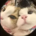 Switer