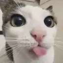 NNaked