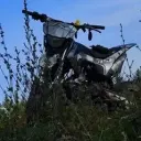WiziXzzz