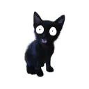 Blaque