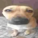 kkovrikk