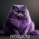 JeneFix