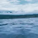 qvzve