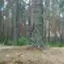 Zor4ik