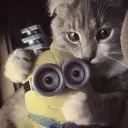 gusy